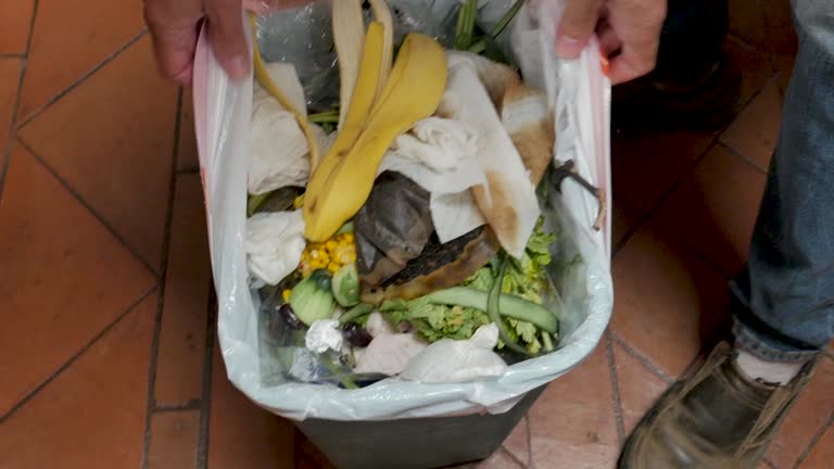  Frankford, DE Junk Removal Services Pros